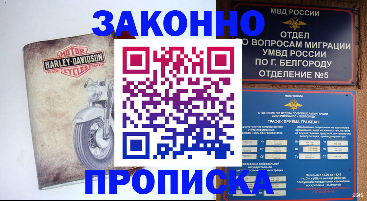 прописка для школы в Щёкино